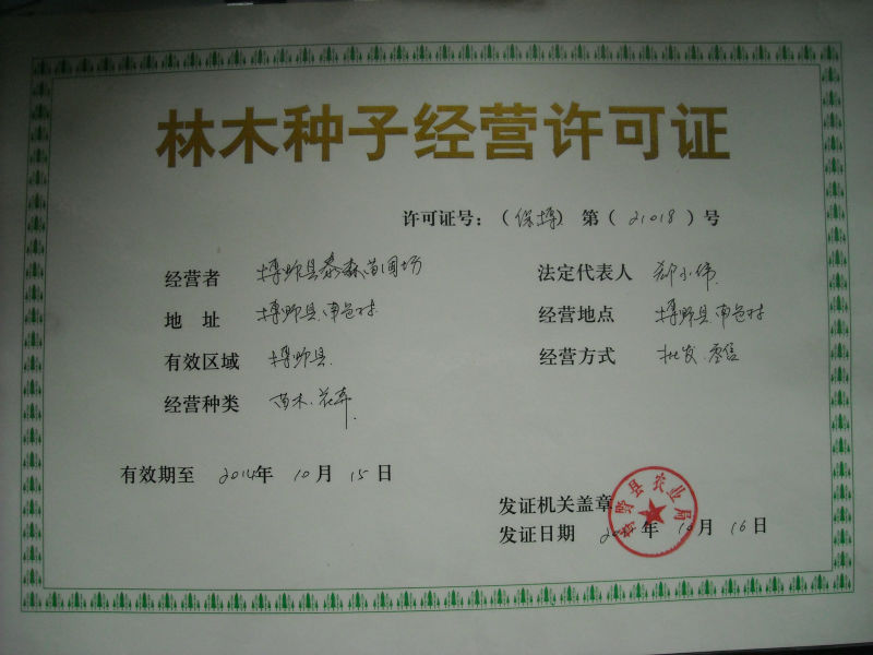 博野县泰森苗圃场