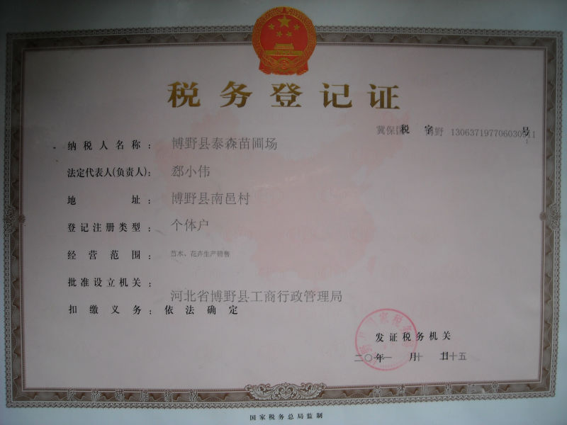 绿意盎然：博野县泰森苗圃场的生态奇迹
